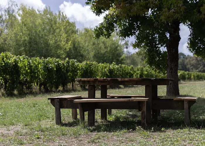 Le Pal' Du Vin * Petit-Palais-et-Cornemps